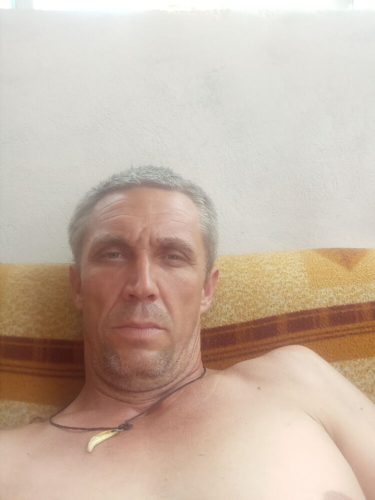  31333627  , 46 ,    