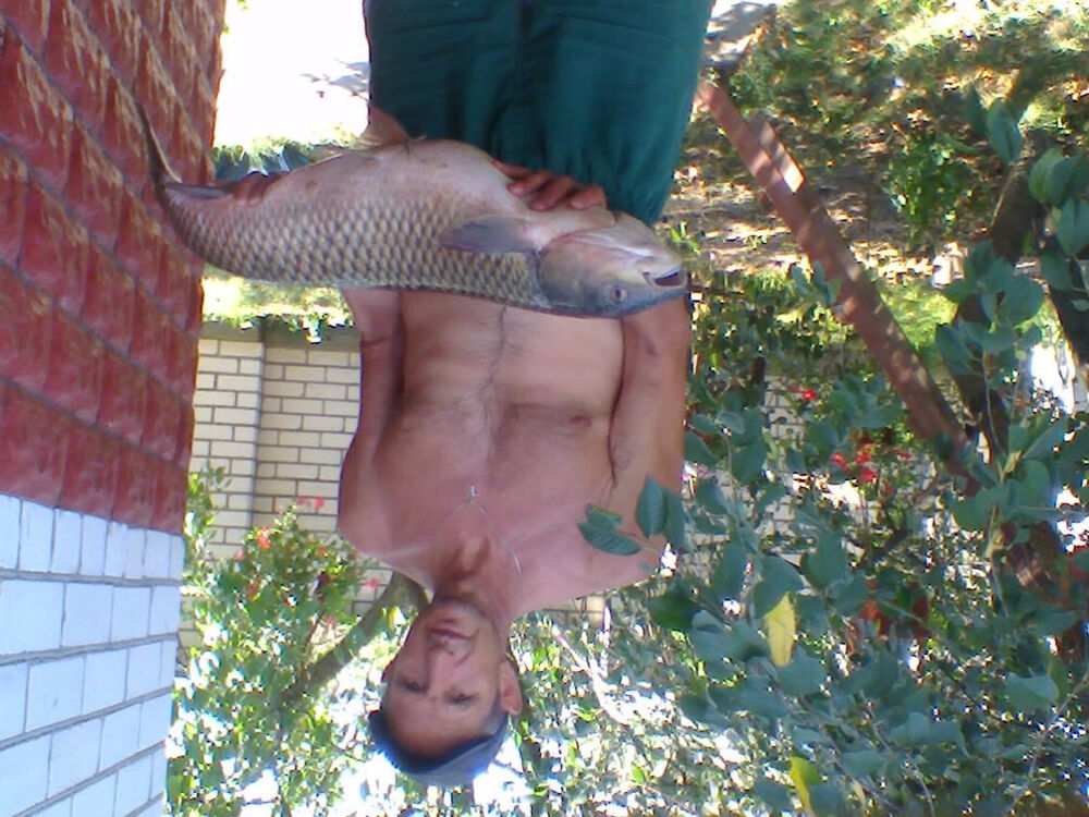  ,   , 60 ,   ,   , c 