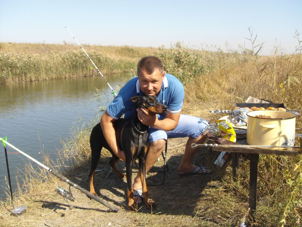 ���� 55910337 ������� ��������, 50 ���, ���� ���������� � ��������