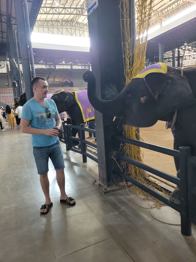 ���������� ������, ���� ������� ������, 45 ���, ������������ ��� c�������� ���������