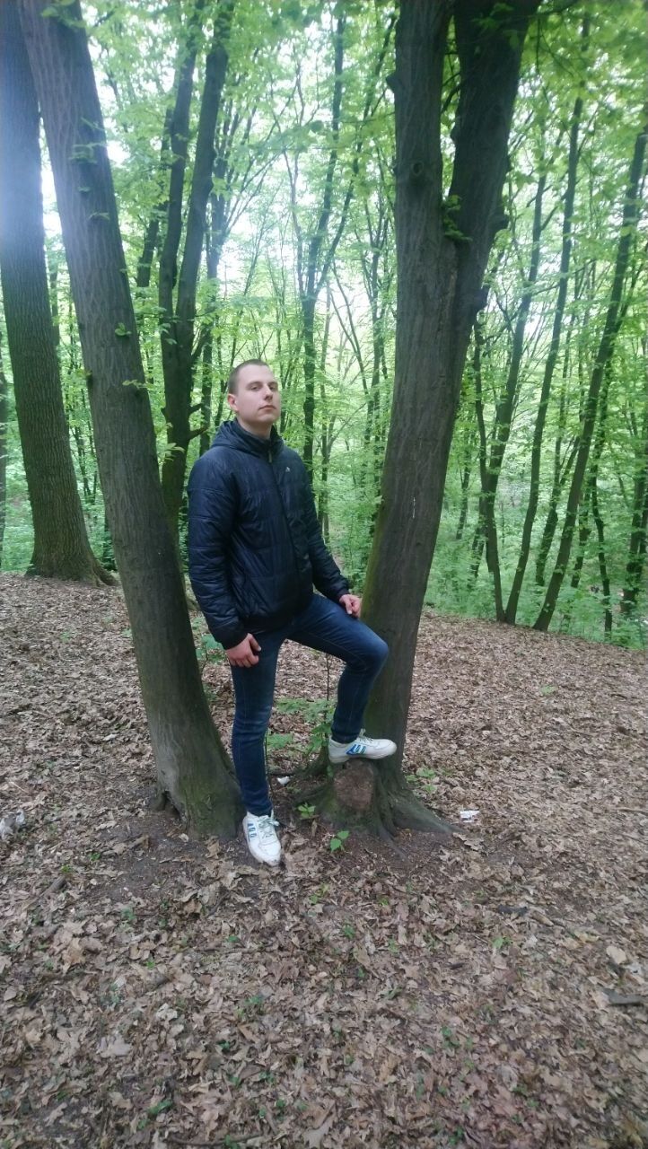 ���������� ����, ���� ������� �������, 29 ���, ������������ ��� ������, ����� � ���������