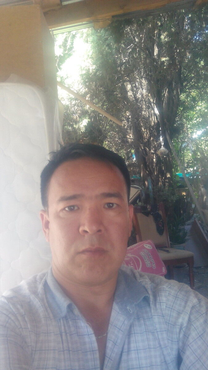 ���� 17231587 ������� ������, 50 ���, ���� ���������� � ������