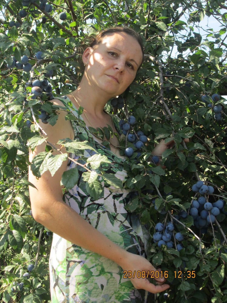 ���� 9082737 ������� �������, 43 ����, ���� ���������� � ���������