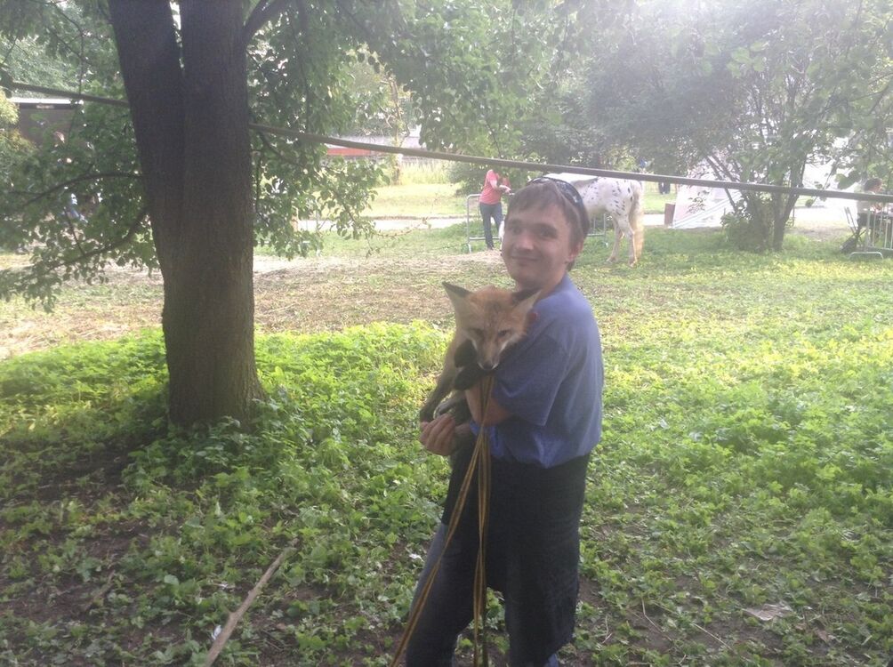  9251177  , 34 ,    -