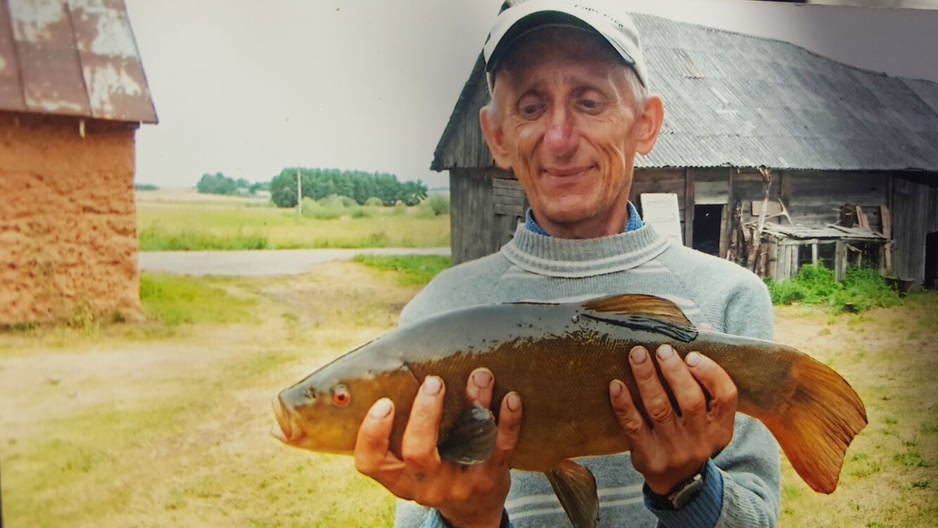  ,   Alius, 64 ,   ,   