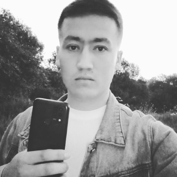  36486977  , 28 ,    