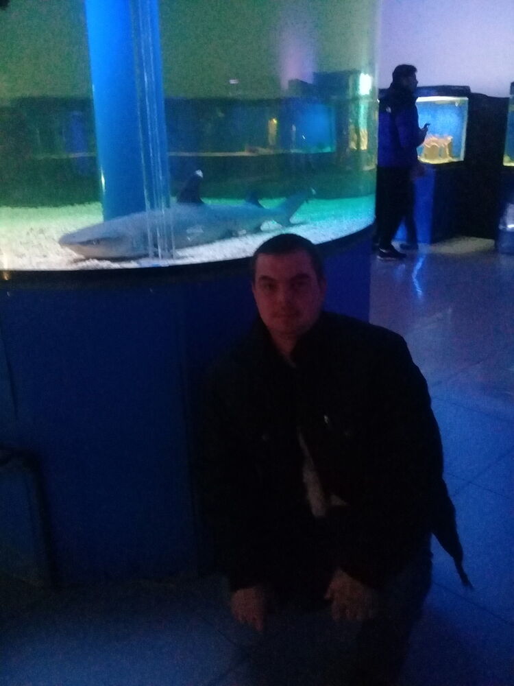 ���� 16186667 ������� ����, 36 ���, ���� ���������� � ������