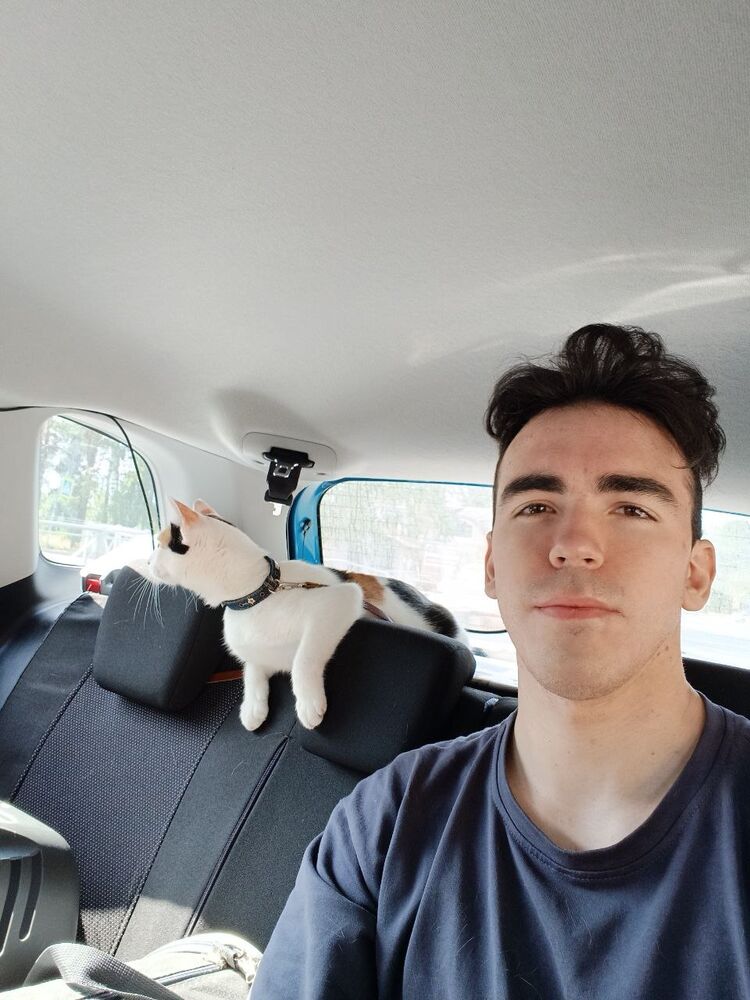 ���������� �����-���������, ���� ����� �������, 24 ����, ������������ ��� ������, ����� � ���������