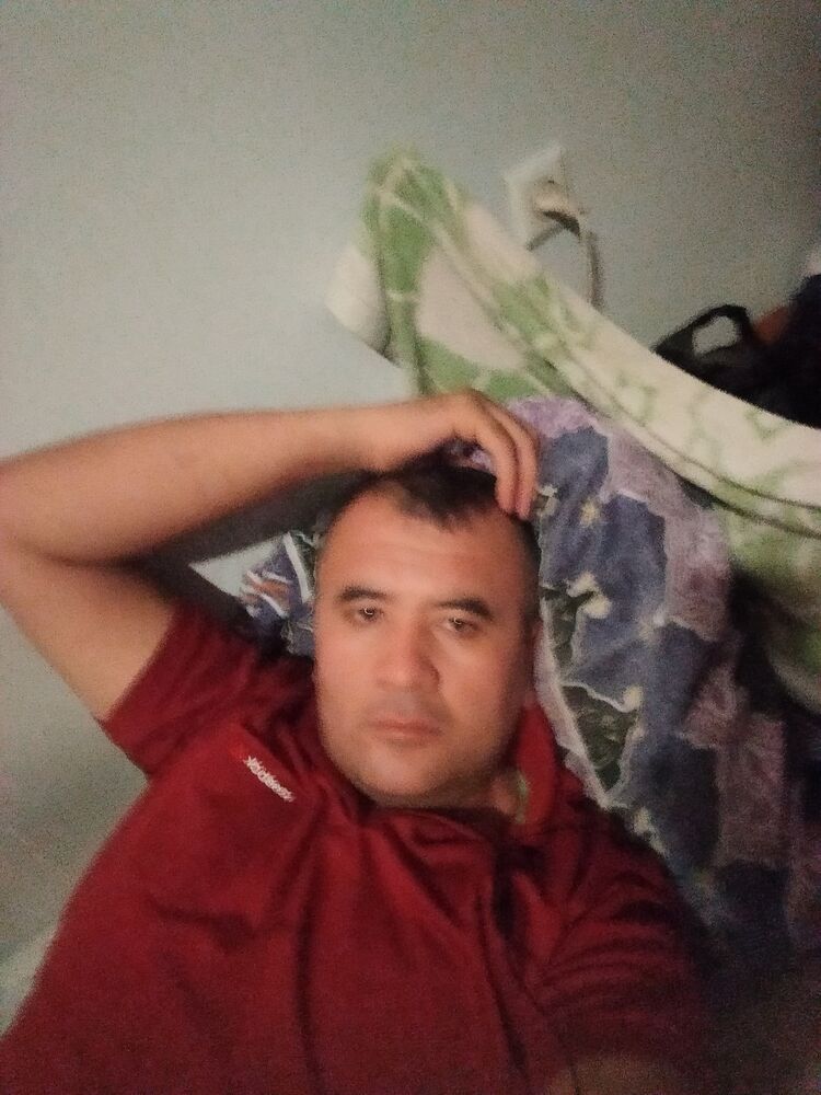 ���� 23595777 ������� �����, 40 ���, ���� ���������� � ������