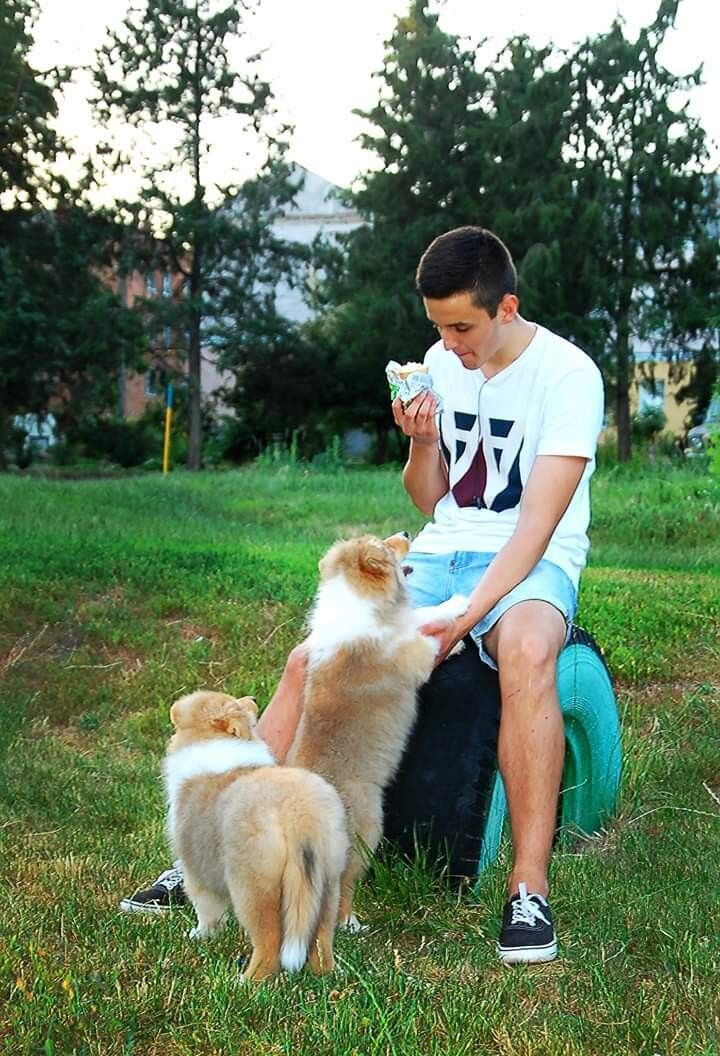  17244347  Denis, 25 ,    