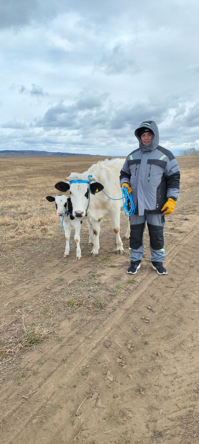 ���� 54963417 ������� ������, 30 ���, ���� ���������� � ������� �����