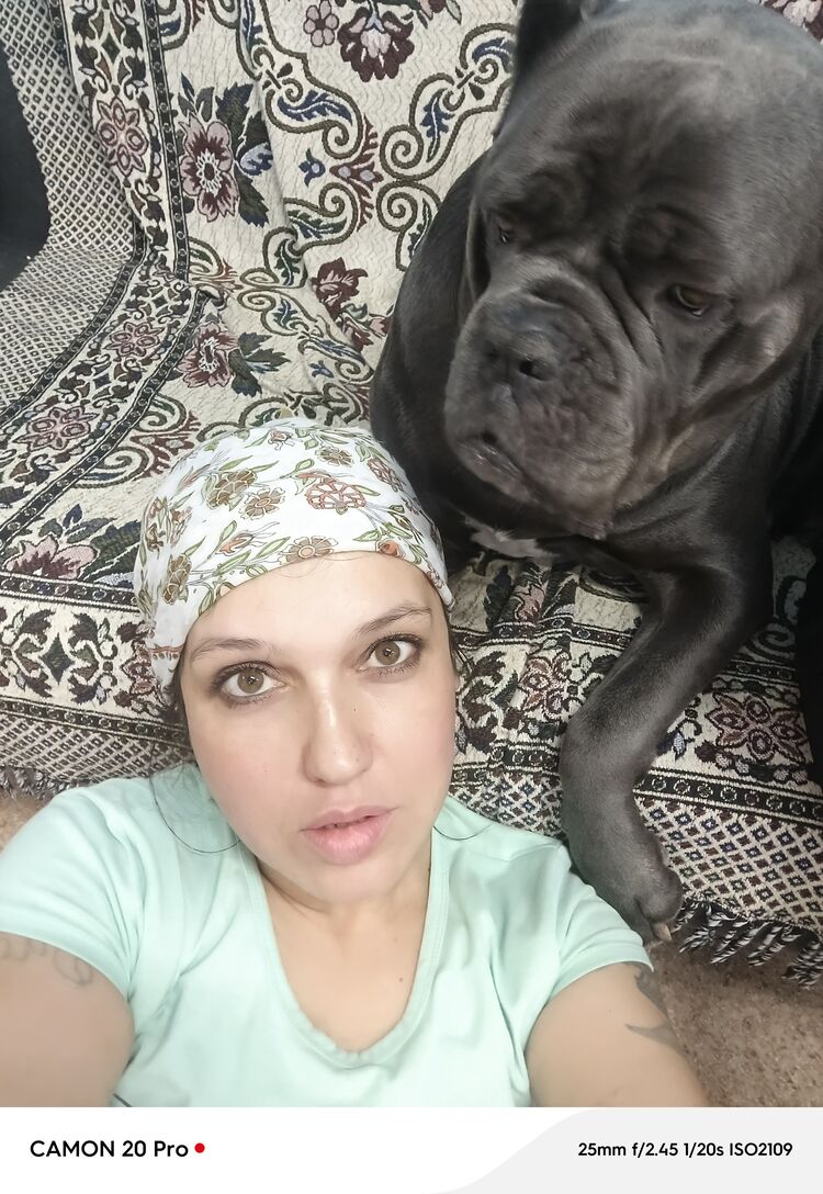 ���������� ������, ���� ������� ��������, 41 ���, ������������ ��� ������, ����� � ���������