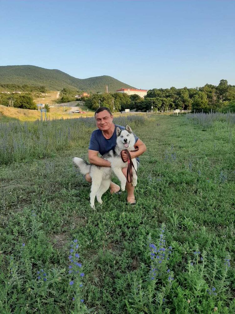 ���������� ���������, ���� ������� ������, 49 ���, ������������ ��� ����� � ���������, c�������� ���������