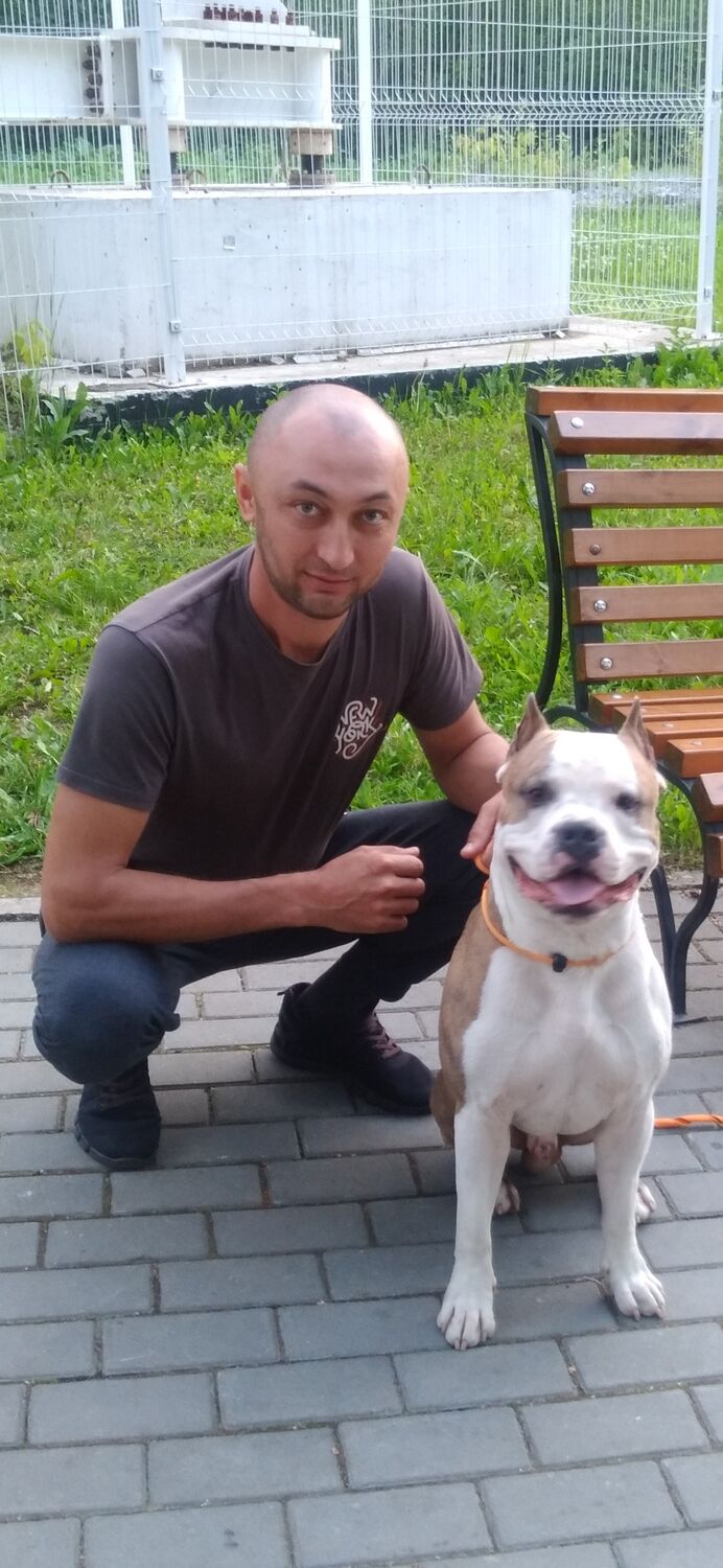 ���� 52535787 ������� ����, 37 ���, ���� ���������� � �������������