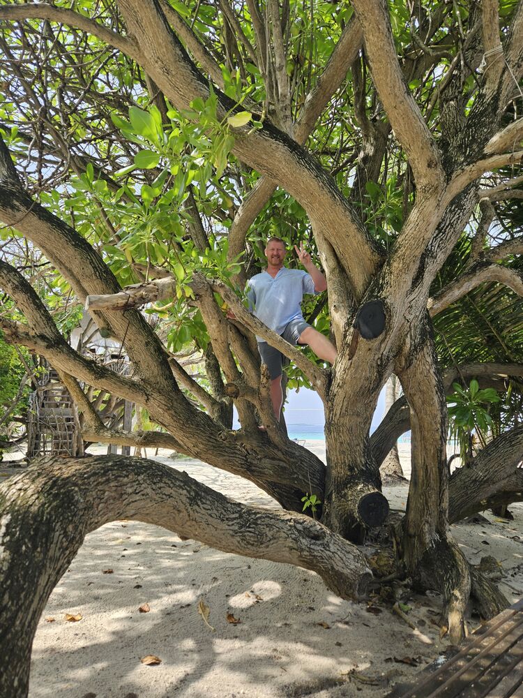 ���������� �������, ���� ������� ��������, 47 ���, ������������ ��� ������, ����� � ���������, c�������� ���������