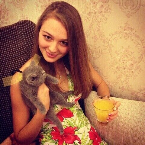 ���� 22479027 ������� �����, 33 ����, ���� ���������� � ������