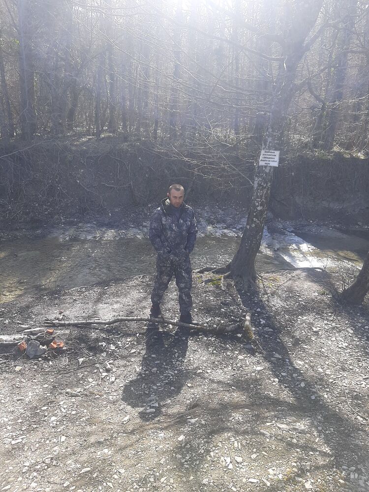  28690397  , 31 ,    