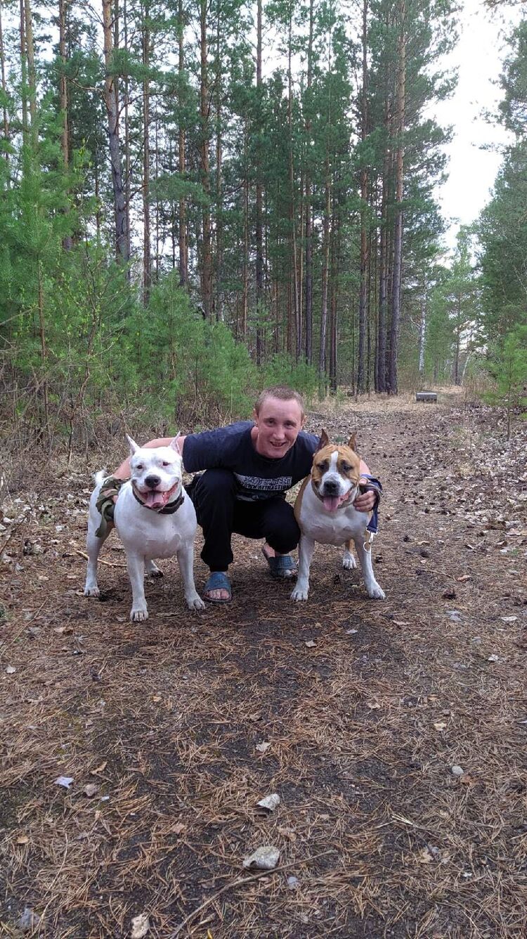 ���������� �������, ���� ������� Sanyok, 31 ���, ������������ ��� ������, ����� � ���������, c�������� ���������, ���������