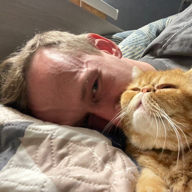 ���� 53283997 ������� ����������, 31 ���, ���� ���������� � ��������