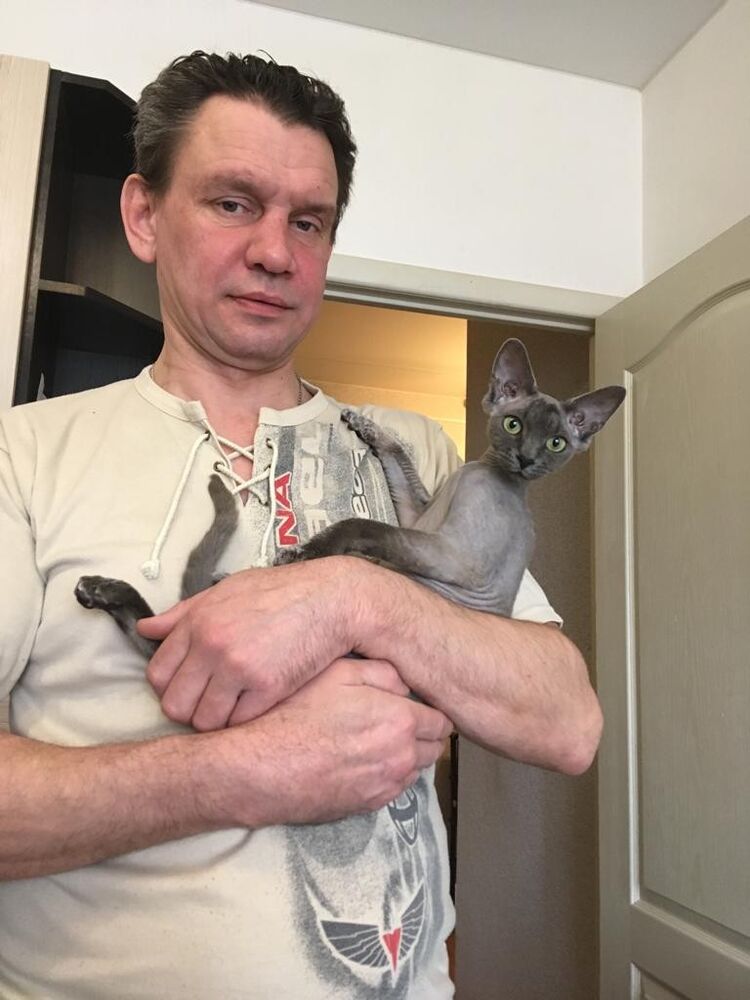 ���������� ������-��-����, ���� ������� ��������, 50 ���, ������������ ��� ������, ����� � ���������, c�������� ���������