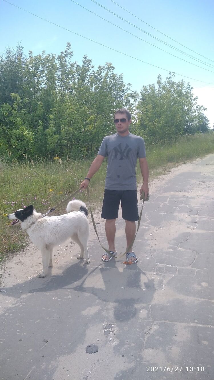 ���������� �������, ���� ������� Vintik, 33 ����, ������������ ��� ������, ����� � ���������