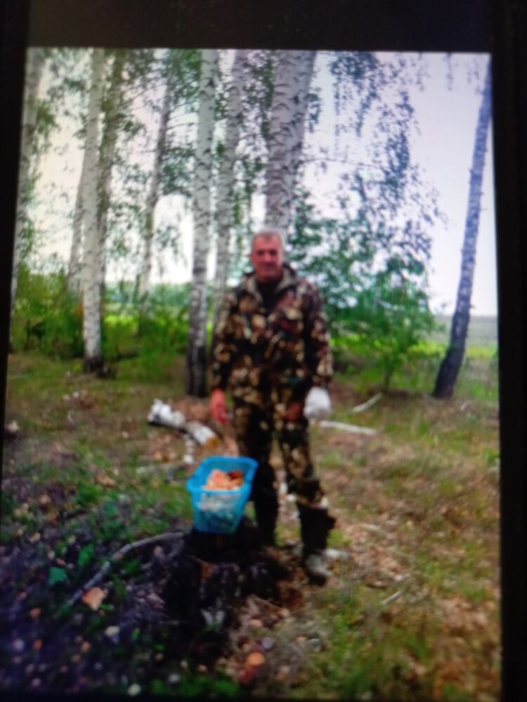 ���������� ���, ���� ������� �������, 48 ���, ������������ ��� ������, ����� � ���������