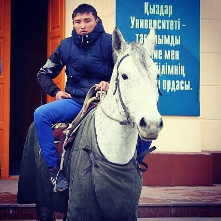 ���� 20246317 ������� �����, 29 ���, ���� ���������� � ������