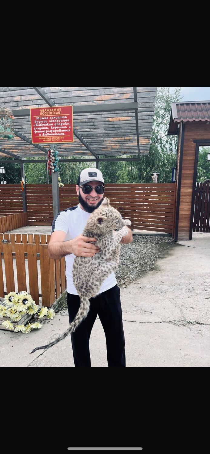 ���������� ������, ���� ������� �������, 37 ���, ������������ ��� ������, ����� � ���������, c�������� ���������