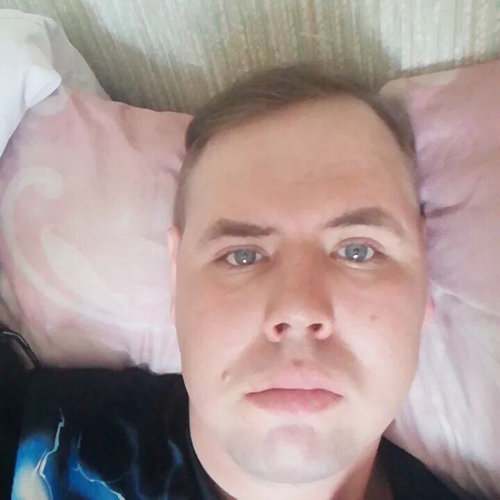  43665307  , 31 ,    