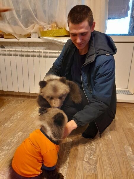 ���� 27908427 ������� ���������, 26 ���, ���� ���������� � ������