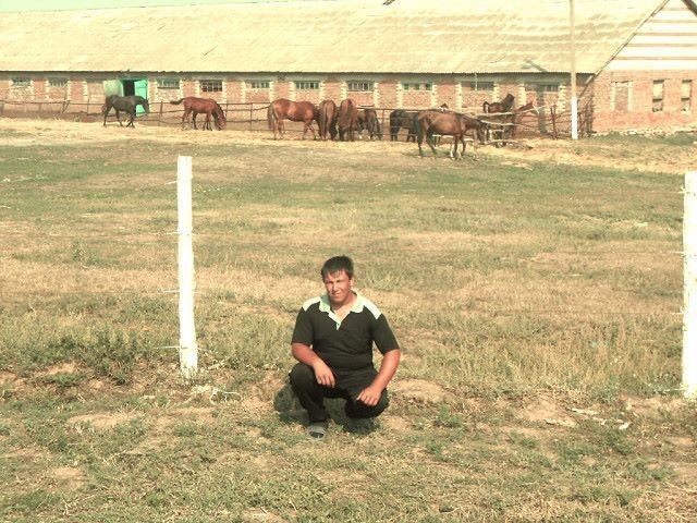 ���������� ���������, ���� ������� ������, 31 ���, ������������ ��� ������, ����� � ���������, c�������� ���������