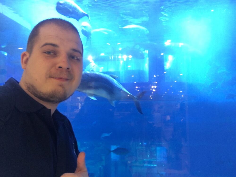 ���������� ���������, ���� ������� �������, 31 ���, ������������ ��� ������, ����� � ���������