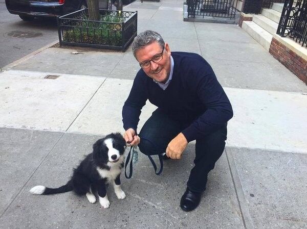 ���������� Apex, ���� ������� Markjamie, 60 ���, ������������ ��� ������, ����� � ���������, c�������� ���������