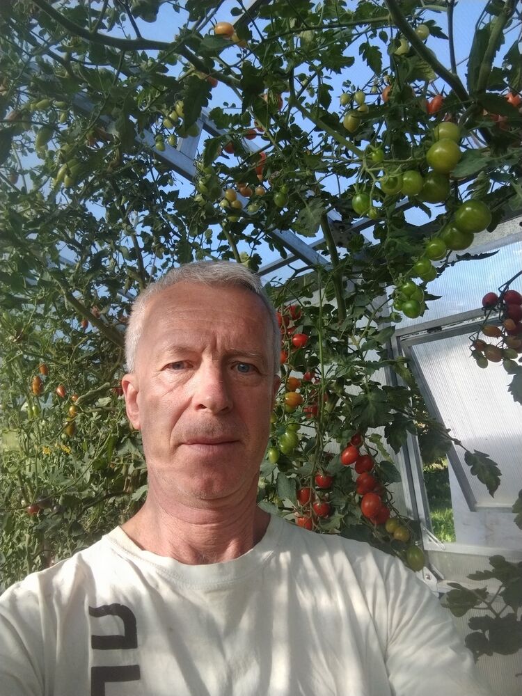  53378027  , 66 ,    
