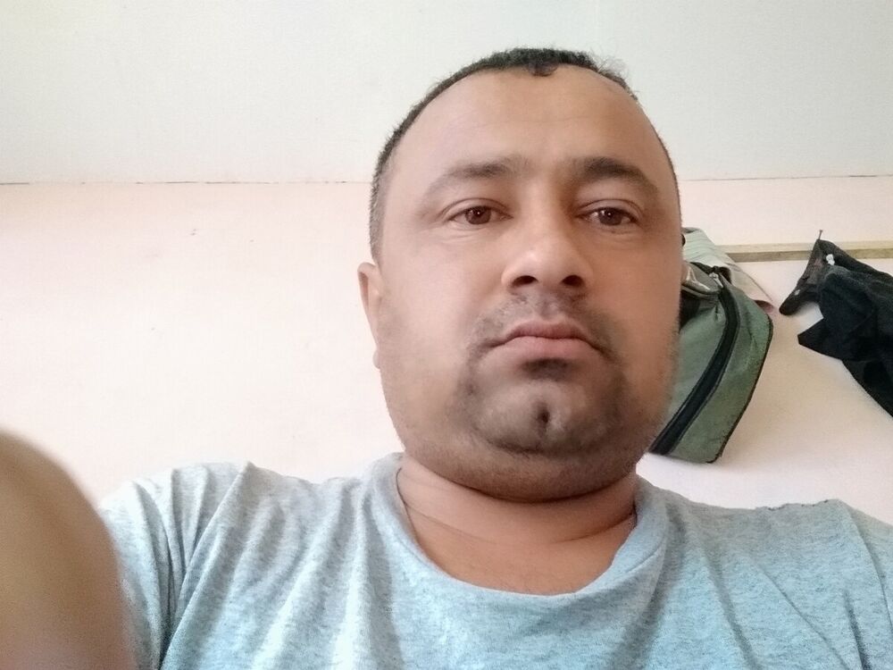  20295767  , 41 ,    