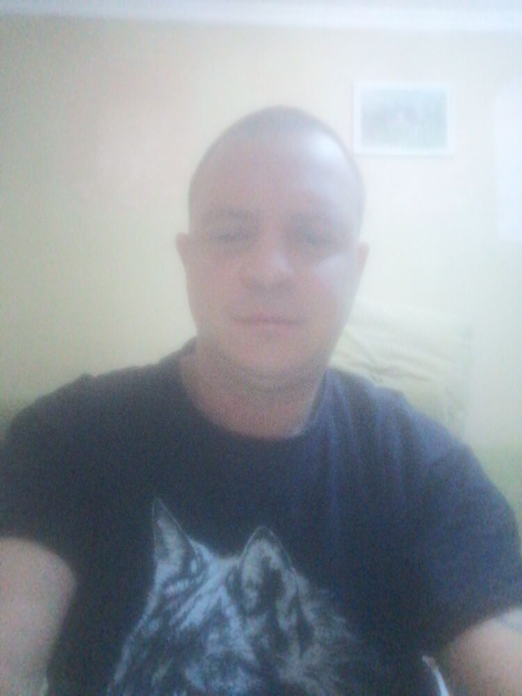 ���� 39842187 ������� ���������, 44 ����, ���� ���������� � ������