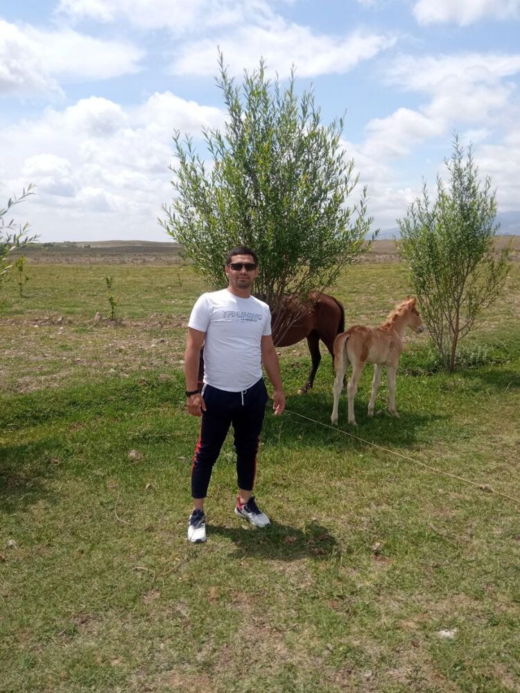  28438357  Umid, 40 ,    