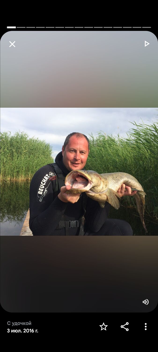 ���������� �����-���������, ���� ������� ������, 45 ���, ������������ ��� ������, ����� � ���������, ���������