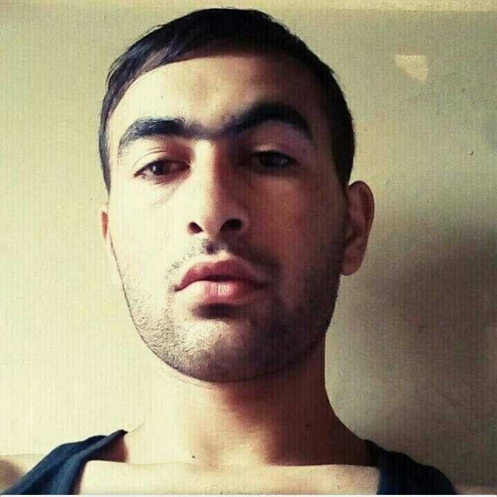 21940487  , 33 ,    