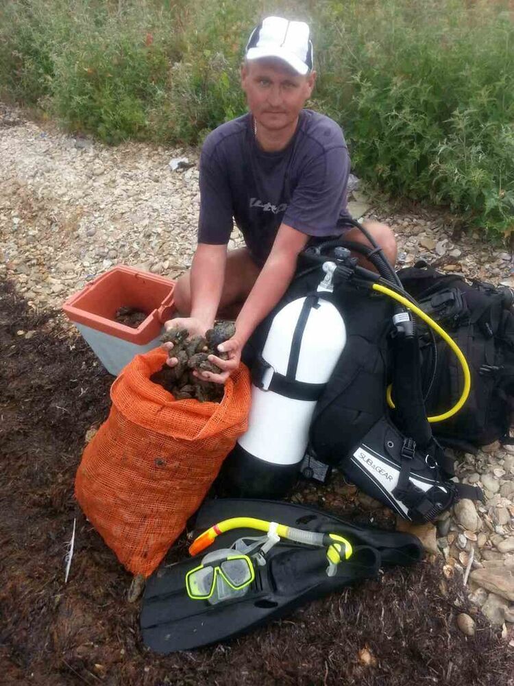 ���������� �����-���������, ���� ������� ������, 50 ���, ������������ ��� ������, ����� � ���������, c�������� ���������