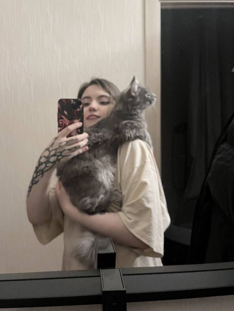 ���������� ������������, ���� ������� ���������, 22 ����, ������������ ��� ������, ����� � ���������