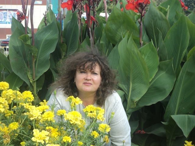  ,   , 66 ,   c 