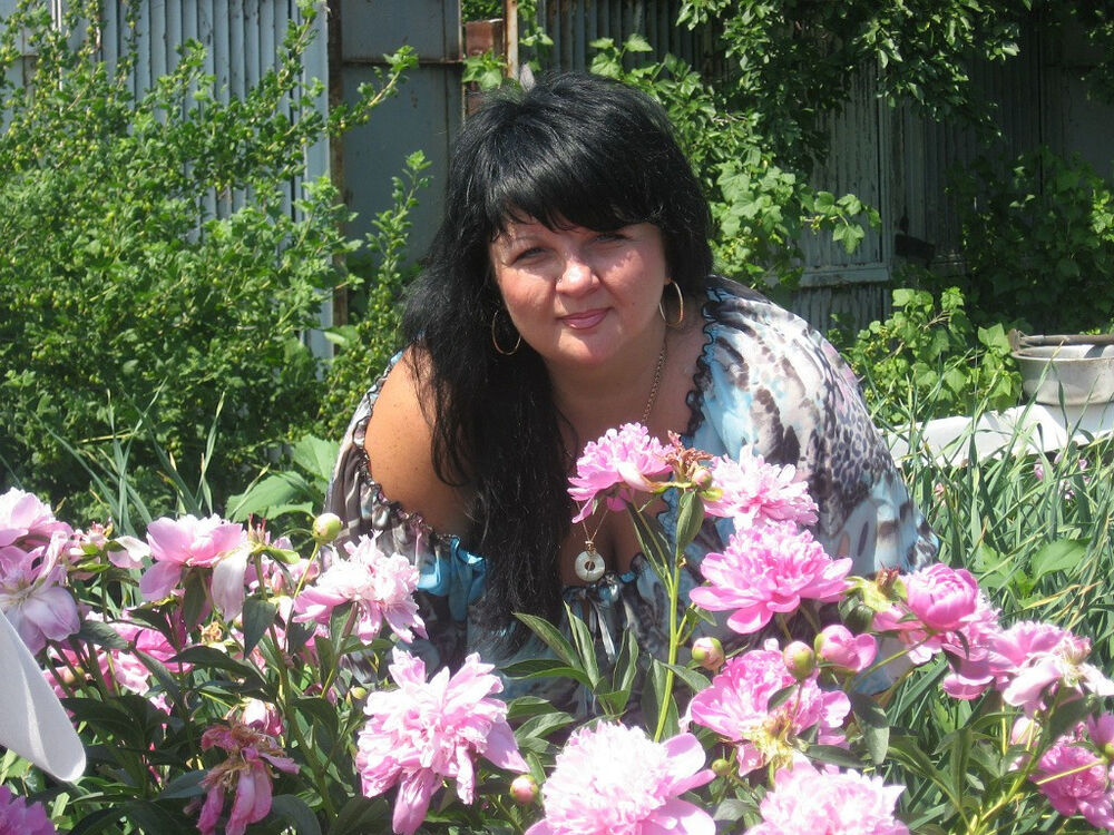 ���������� �����, ���� ������� O�����, 50 ���, ������������ ��� ������, ���������