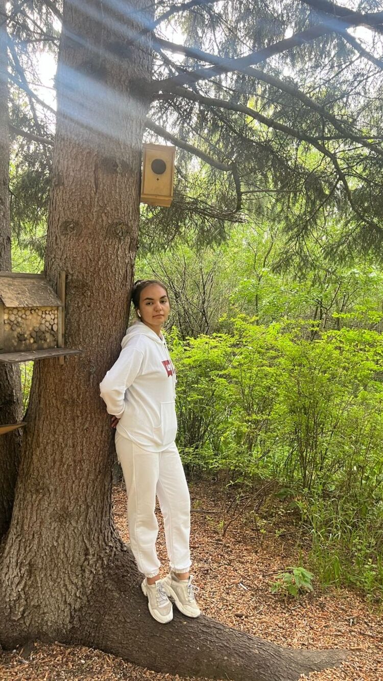 ���� 50499827 ������� ������, 24 ����, ���� ���������� � ���������