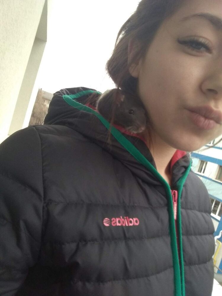 ���������� ������������, ���� ������� ����, 25 ���, ������������ ��� ����� � ���������, c�������� ���������