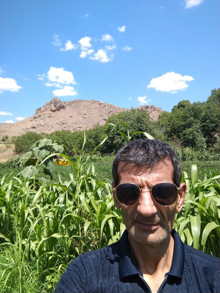  23844287  Sevo, 40 ,    