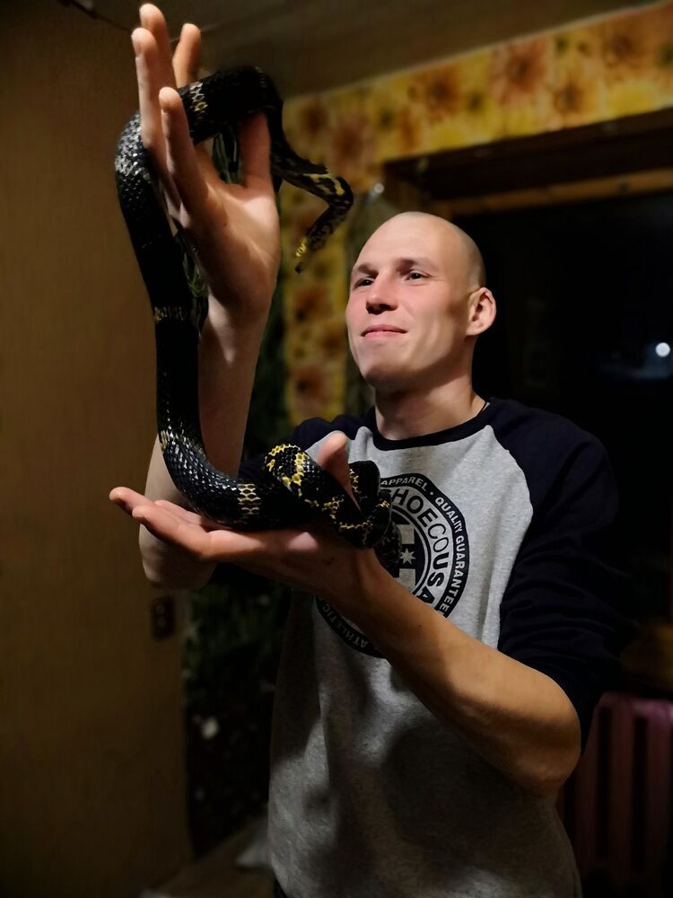 ���� 18274507 ������� �������, 36 ���, ���� ���������� � ��������������-����������