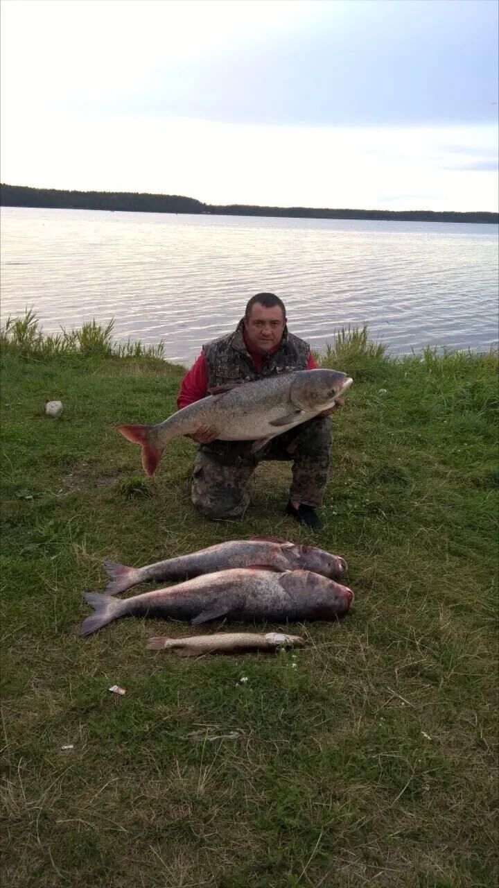 ���������� �����, ���� ������� ���������, 49 ���, ������������ ��� ������, ����� � ���������, c�������� ���������, ���������