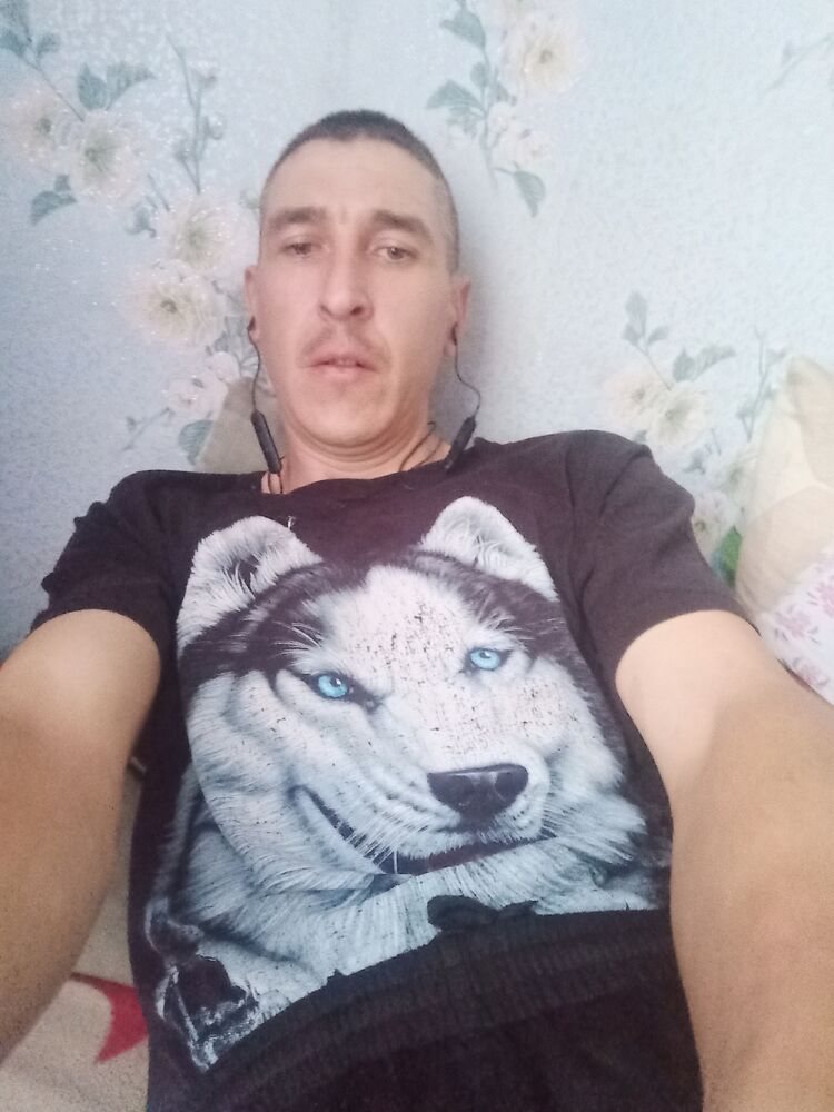  48266717  , 36 ,    