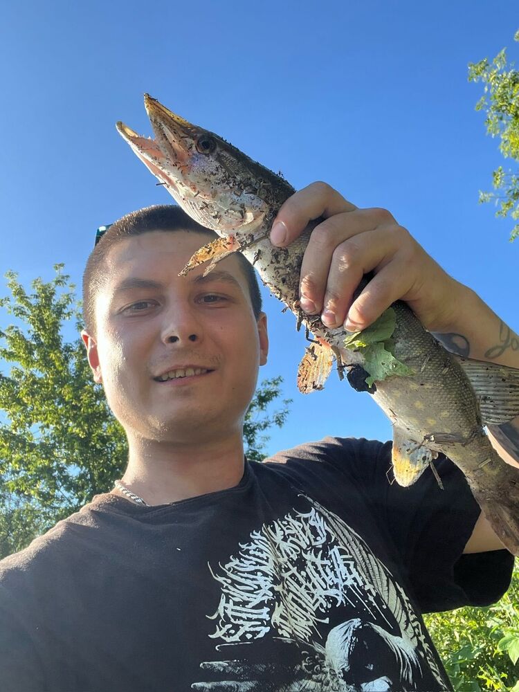 ���� 55436797 ����� ���������, 25 ���, ���� ���������� � �������